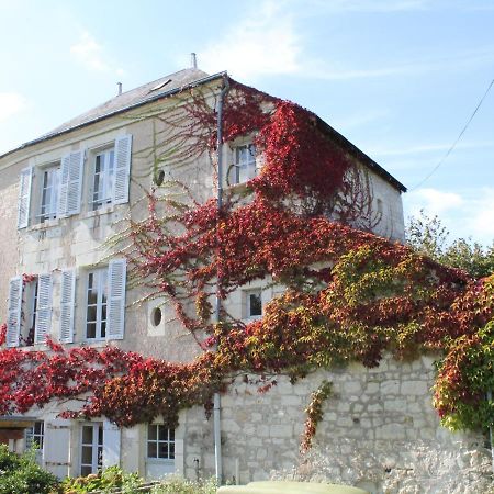 Gite Au Calme Avec Jardin Et Wifi A La Roche-Posay - Fr-1-541-52 Villa ภายนอก รูปภาพ